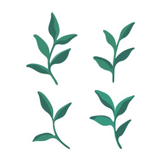 Hand drawn illustration of different leaves. Boho element for your design. Abstract poster with minimalist leaves.