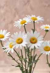 Fototapeta premium Minimalist white daisies against a soft pastel background, background, daisy, botanical