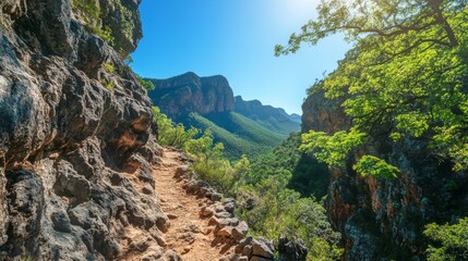Scenic hiking trail along a rocky mountainside overlooking a lush valley under a bright sunlit sky.