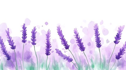 Obraz premium Watercolor lavender flowers border.
