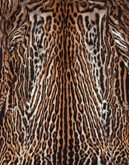 Leopard fur