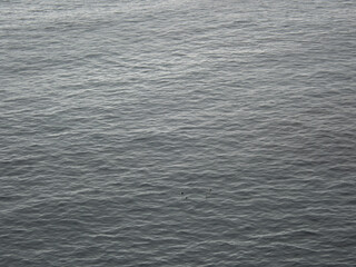 Abstraction in water
