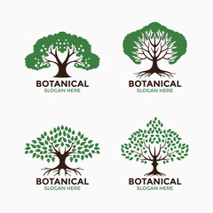 Obraz premium A set of captivating tree or plant symbols. sahabi tree and oak tree