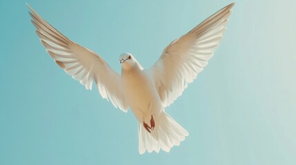 Obraz premium Close-up view of a white bird flying in the sky, spreading its wings.