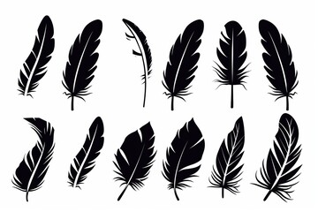 Obraz premium Feather icon, animal feathers isolated, black plume symbol, minimal plume silhouette on white