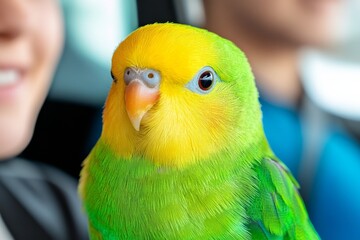 Obraz premium A couple with a parrot in a secure cage sitting in a car, ready to go. Generative AI