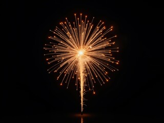 Bright orange fireworks exploding in the night sky