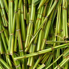 Obraz premium Lemongrass texture background, cymbopogon pattern, barbed wire grass banner, silky heads or oily heads