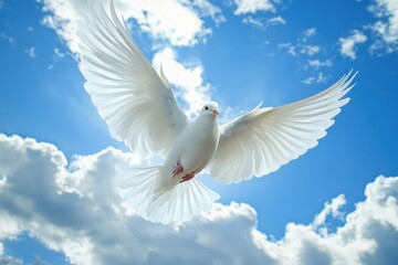 Obraz premium Graceful white avian gliding across the heavens