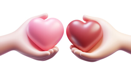 Fototapeta premium two heart in hands 3d render icon isolated on transparent background cutout