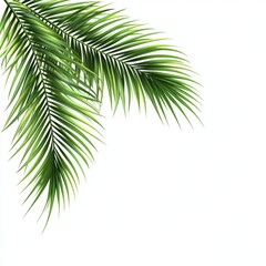Fototapeta premium Palm leaves corner border cutout, isolated on a clean white background, showcasing the vibrant green foliage and tropical elegance for decorative and design use.