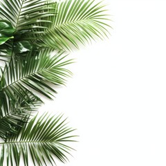 Fototapeta premium Palm leaves corner border cutout, isolated on a clean white background, showcasing the vibrant green foliage and tropical elegance for decorative and design use.