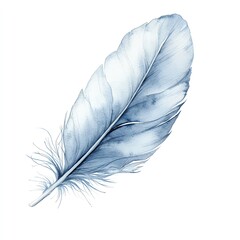 Elegant blue feather on a white background.