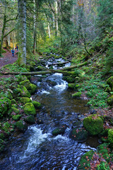 Ravennaschlucht im S&uuml;dschwarzwald, Baden W&uuml;rttemberg, Deutschland
