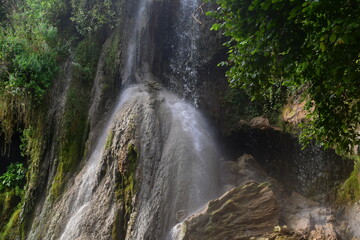 Obraz premium waterfall in the woods