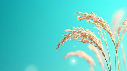 ears of rice grain sunlight concept. Golden grass against a blue background