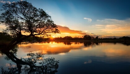 Fototapeta premium Tree silhouette with a beautiful sunset reflecting on the lake