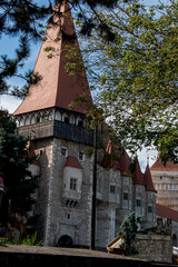 view of the castle in the city