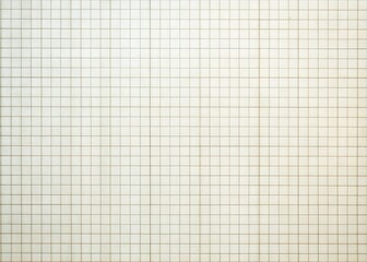 High-Resolution Panoramic View of Clean Empty Graph Paper with Grid Pattern for Design and Planning