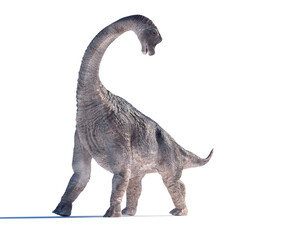 Large dinosaur with a long neck stands on a white background in a playful pose resembling its ancient habitat