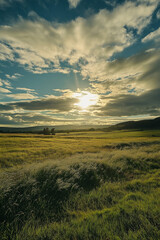 A peaceful meadow, bright green grass beneath a flawless sky with gentle clouds overhead,