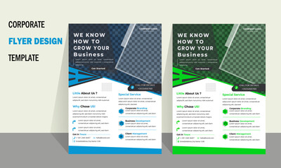 modern flyer design, brochure multiple flyer design,  flyer in A4 with colorful design, Flyer template layout design,  creative corporate professional business flyer.