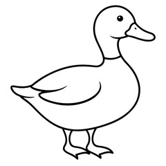 Obraz premium duck bird vectore white backgrount.