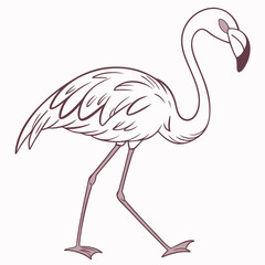 Fototapeta premium bird flamin vector white bactgrount.