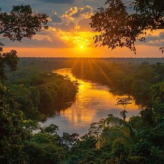 Amazon rainforest at sunset 