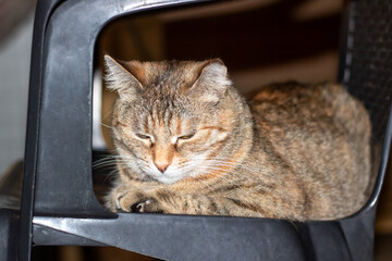 A cat is comfortably laying on a black chair with its eyes shut tight