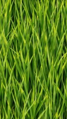 Obraz premium A seamless pattern of lush green grass blades, perfect for nature backgrounds or textures, nature