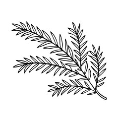 Naklejka premium evergreen branch icon, christmas illustration, holiday icon - simple black line art of aevergreen branch , symbolizing holiday celebrations and festive spirit.
