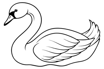 Obraz premium black and white swan