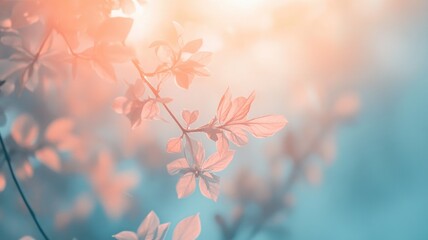 Soft pink flowers with blurred background in natural sunlight