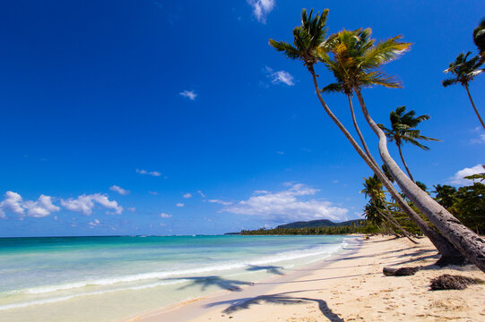 Caribbean beach on Saman&aacute; peninsula, Dominican Republic 