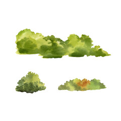 watercolor set of different green trees and shrubs, hand drawn illustration of various foliage, part of forest and parks, for landscape design plan and nature pictures