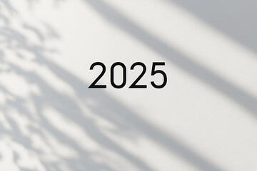 A pure minimalist design with a white background, soft gray shadows, and '2025' in thin black font. Perfect for professional and clean projects