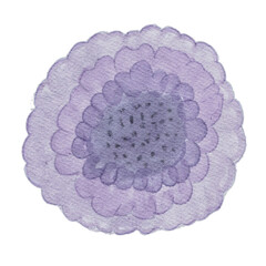 Delicate watercolor pastel purple bloom PNG with soft, hand-painted petals. Ideal for invitations, branding, scrapbooking, and digital art projects. Transparent background for versatile use.