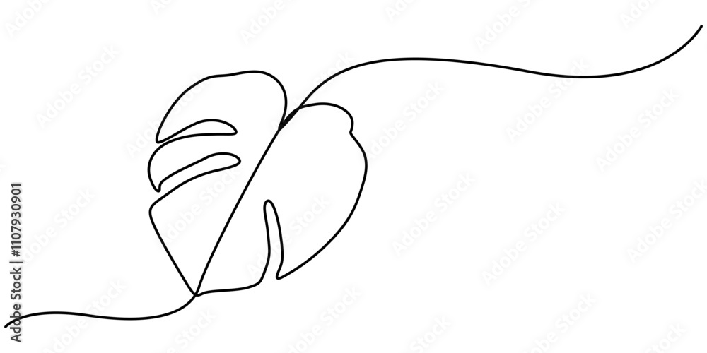 Poster continuous line drawing of a monstera isolated on white background, leaf monstera continuous one lin