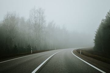 Fototapeta premium A misty road curves through a dense forest on a foggy day, creating a serene yet mysterious atmosphere. Tall trees frame the scene under diffused light.