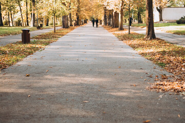 Streets of the city in autumn. Public park way. Peaceful park in the city with sun light, autumn park road