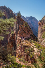 Naklejka premium Angel's Landing in Zion National Park, Utah