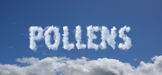 Fototapeta premium pollens nuages