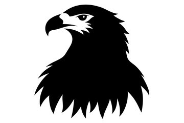 eagle silhouette isolated on white