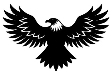 Obraz premium eagle in flight