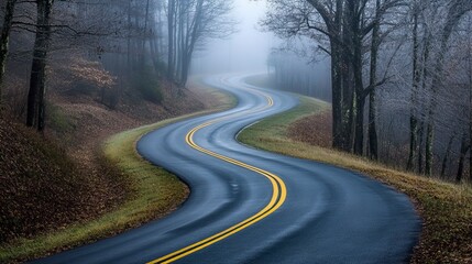 Fototapeta premium Countryside Road Disappearing into Thick Morning Fog Mystical Foggy Mornings ,Winter seasson, Happy New Year, Happy christmass