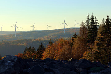 Aussicht vom keltischen Ringwall Hunnenring im Herbst im Nationalpark Hunsrück-Hochwald bei...