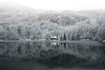 Winter landscape. Forest covered in snow reflected on a lake in Mogosa, Romania