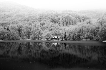 Winter landscape. Forest covered in snow reflected on a lake in Mogosa, Romania