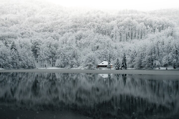 Winter landscape. Forest covered in snow reflected on a lake in Mogosa, Romania
